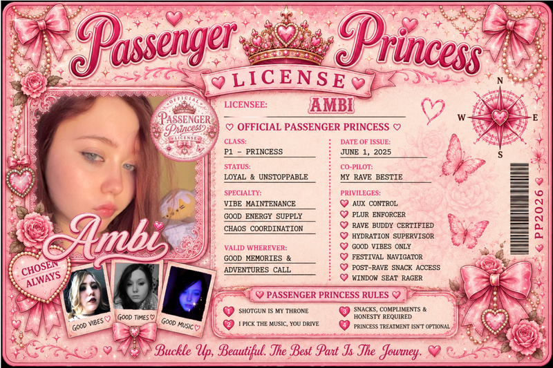 Pink Passenger Princess Visor Clip – Personalized Custom Photo Gift for Her